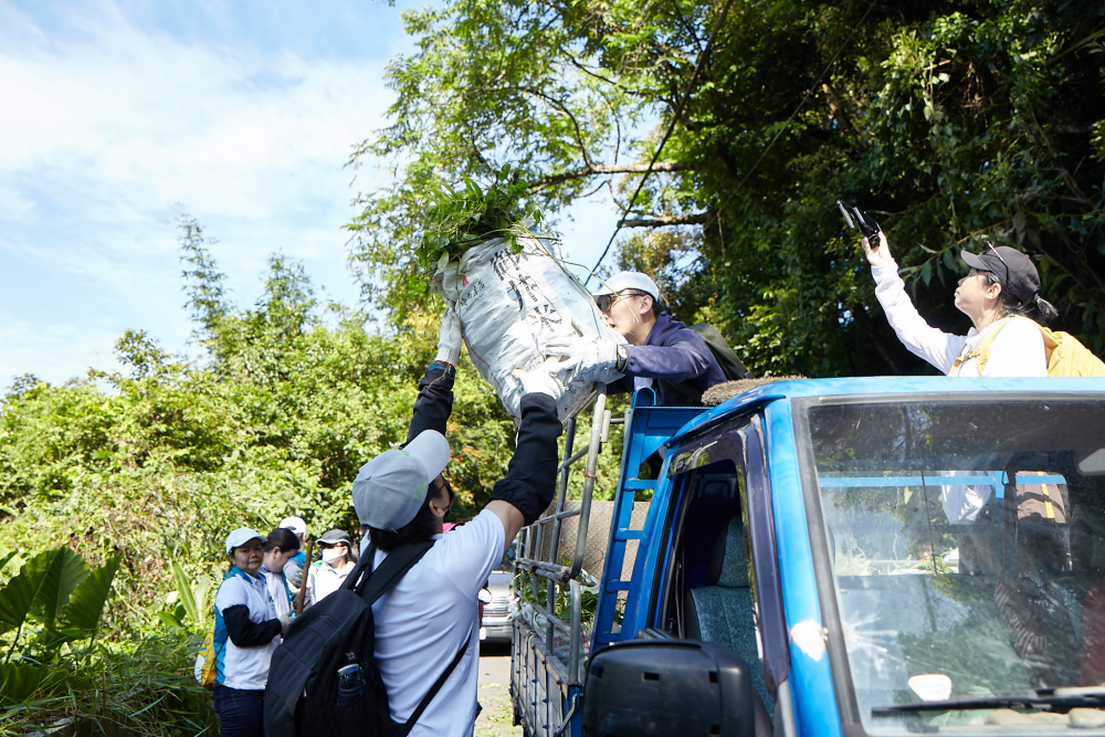 友達串聯志工組成水環境巡守隊，針對霄裡溪沿岸3公里的小花蔓澤蘭，定期進行移除與防治工作